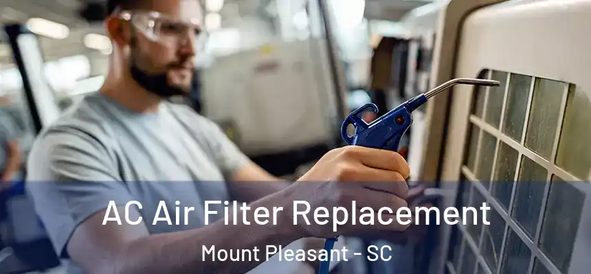  AC Air Filter Replacement Mount Pleasant - SC