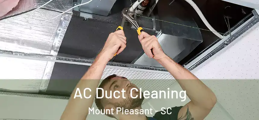  AC Duct Cleaning Mount Pleasant - SC