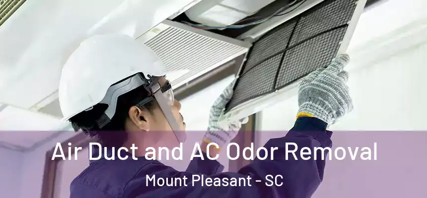  Air Duct and AC Odor Removal Mount Pleasant - SC