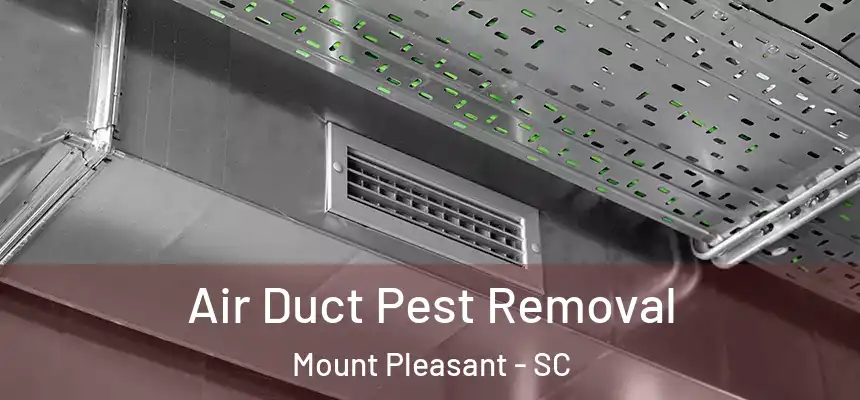  Air Duct Pest Removal Mount Pleasant - SC