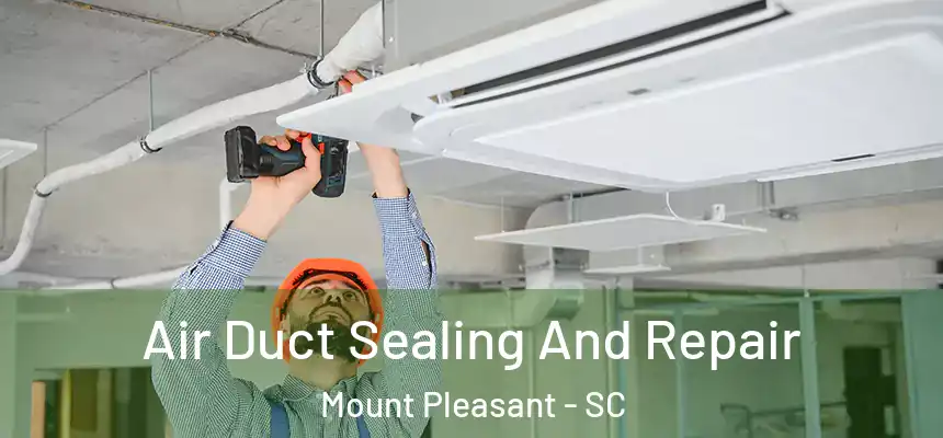 Air Duct Sealing And Repair Mount Pleasant - SC