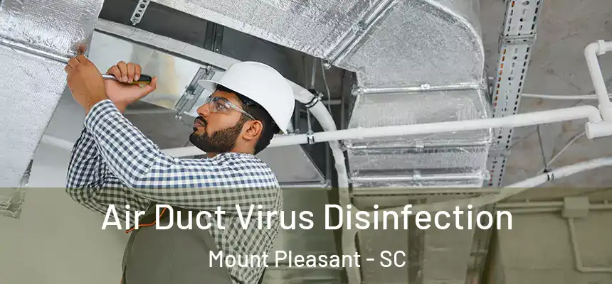  Air Duct Virus Disinfection Mount Pleasant - SC