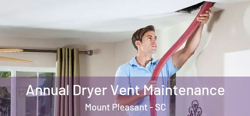  Annual Dryer Vent Maintenance Mount Pleasant - SC