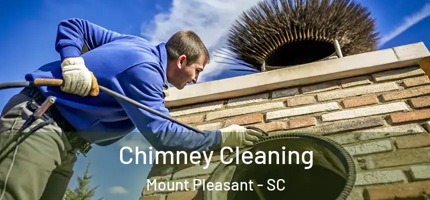 Chimney Cleaning Mount Pleasant - SC