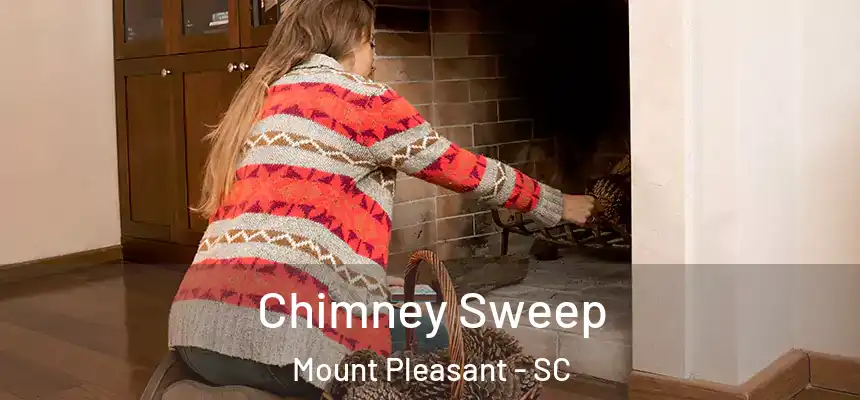  Chimney Sweep Mount Pleasant - SC