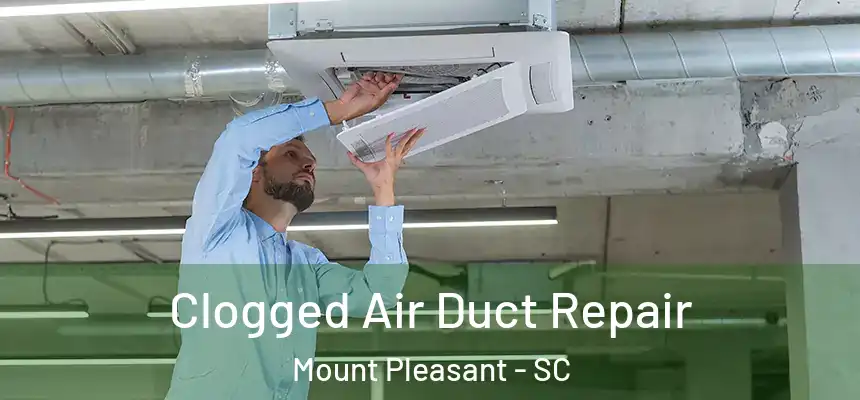  Clogged Air Duct Repair Mount Pleasant - SC