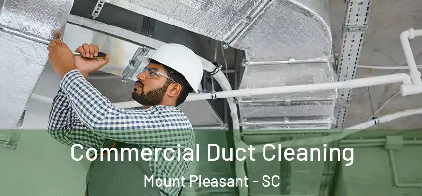  Commercial Duct Cleaning Mount Pleasant - SC