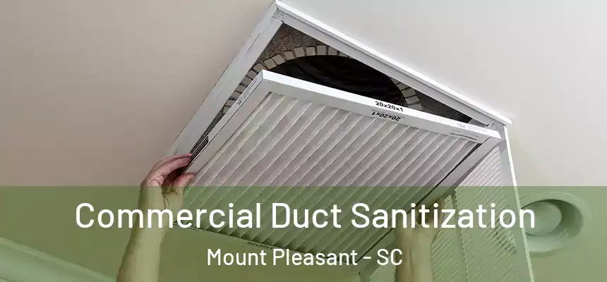  Commercial Duct Sanitization Mount Pleasant - SC