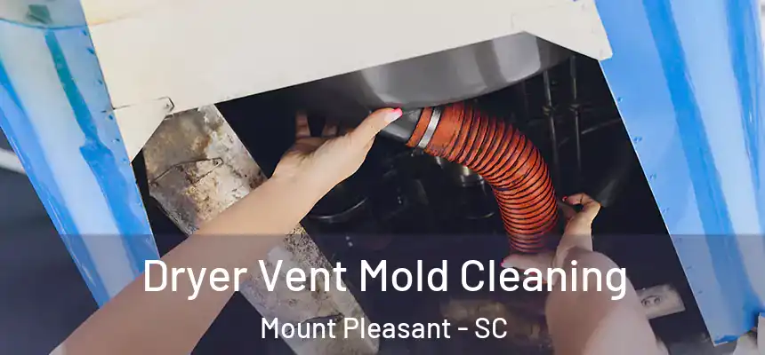  Dryer Vent Mold Cleaning Mount Pleasant - SC