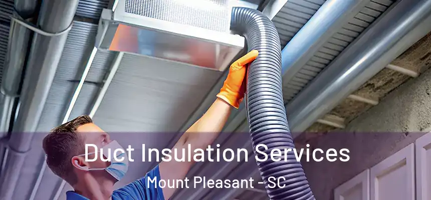 Duct Insulation Services Mount Pleasant - SC