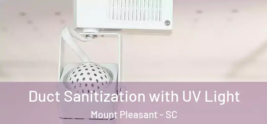 Duct Sanitization with UV Light Mount Pleasant - SC