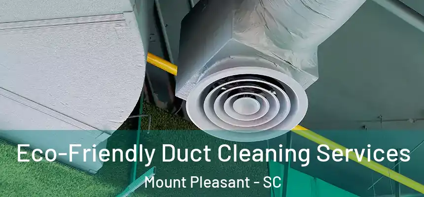  Eco-Friendly Duct Cleaning Services Mount Pleasant - SC