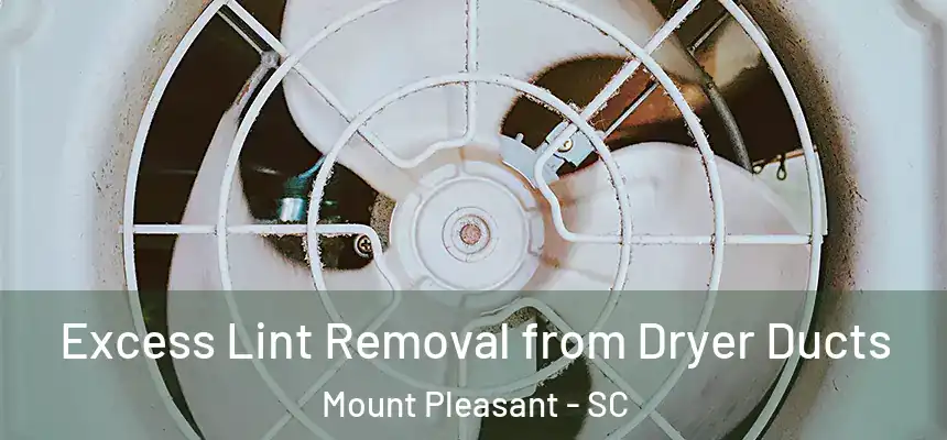  Excess Lint Removal from Dryer Ducts Mount Pleasant - SC