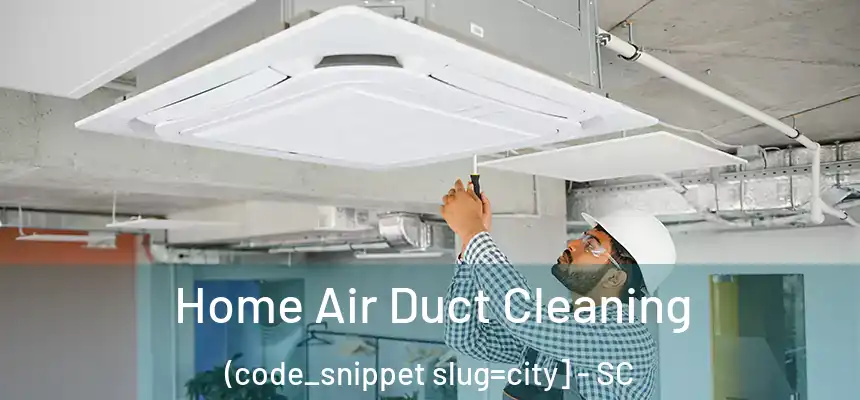  Home Air Duct Cleaning (code_snippet slug=city] - SC