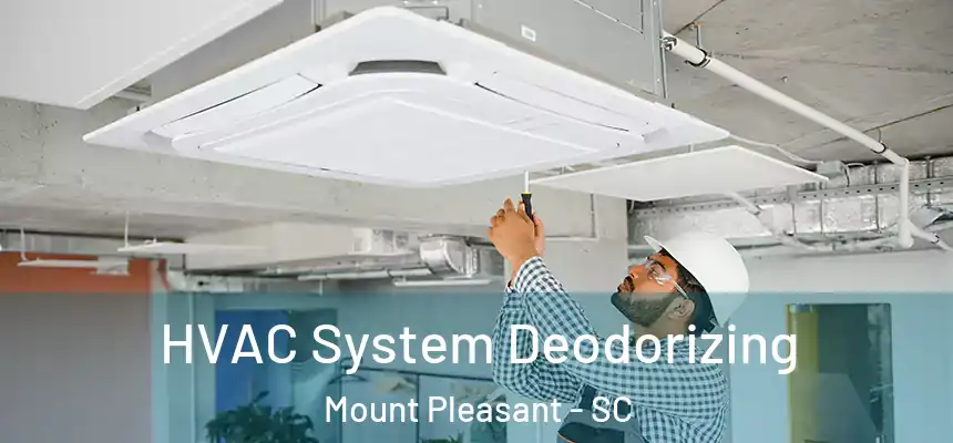 HVAC System Deodorizing Mount Pleasant - SC