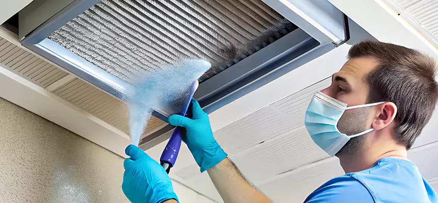 Proactive Dryer Vent & Auxiliary Duct Pollen Cleanup in Mount Pleasant, SC