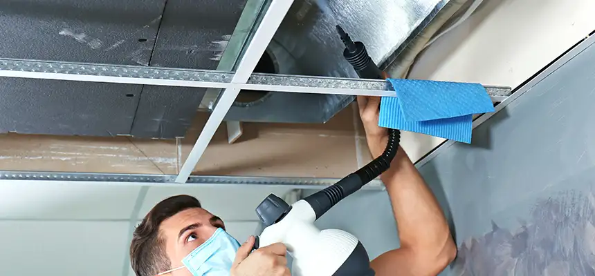 Our Air Duct Rodent Removal Services in Mount Pleasant, SC