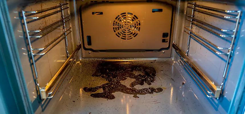 Our Dryer Vent Mold Cleaning Services in Mount Pleasant, SC