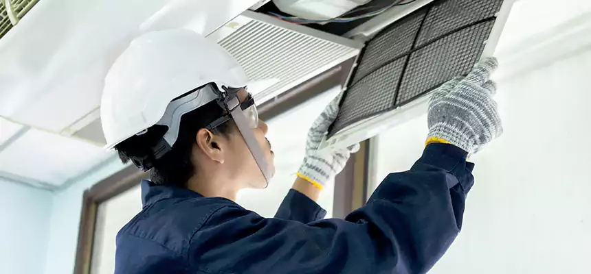 Our Mold & Mildew Removal from Air Ducts Services in Mount Pleasant, SC