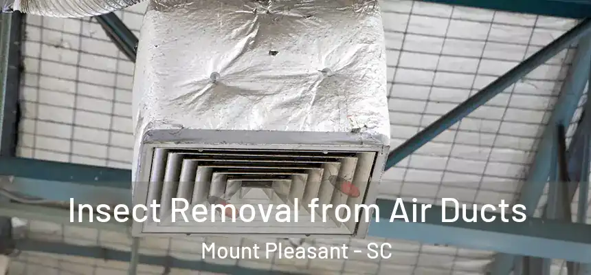  Insect Removal from Air Ducts Mount Pleasant - SC