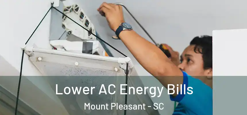  Lower AC Energy Bills Mount Pleasant - SC