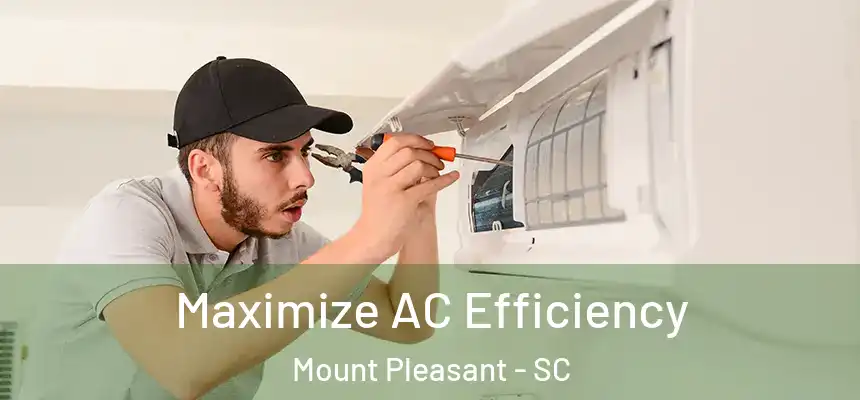 Maximize AC Efficiency Mount Pleasant - SC