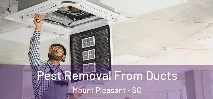  Pest Removal From Ducts Mount Pleasant - SC