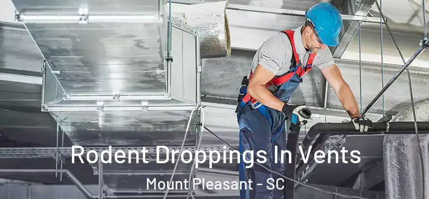  Rodent Droppings In Vents Mount Pleasant - SC