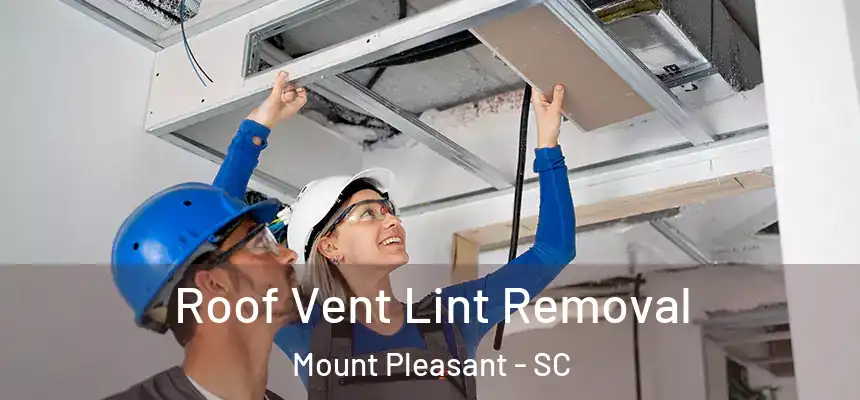  Roof Vent Lint Removal Mount Pleasant - SC