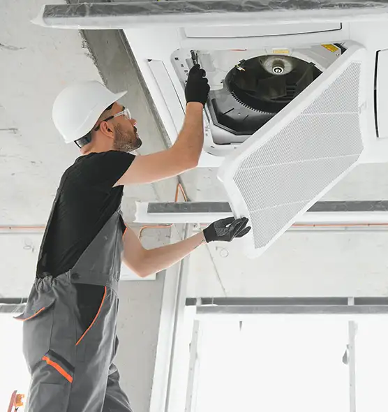 About Air Duct Rodent Removal in Mount Pleasant, SC