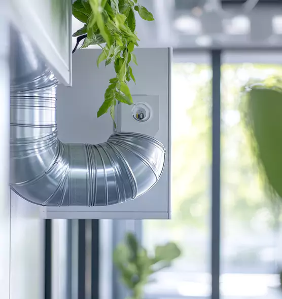 Professional Eco-Safe Dryer Vent Cleaning in Mount Pleasant, SC