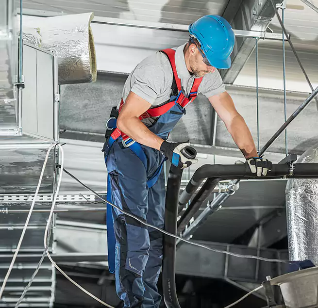 Why Homeowners & Businesses Trust Us in Mount Pleasant, SC?