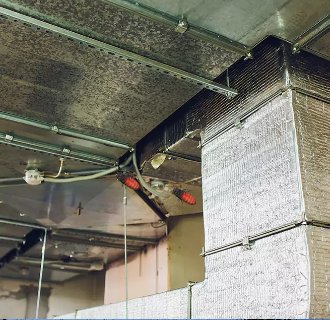 Why Homeowners & Businesses Trust Us in Mount Pleasant, SC?