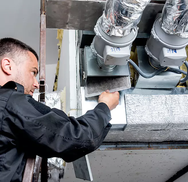  Why Homeowners & Businesses Trust Us in Mount Pleasant, SC?