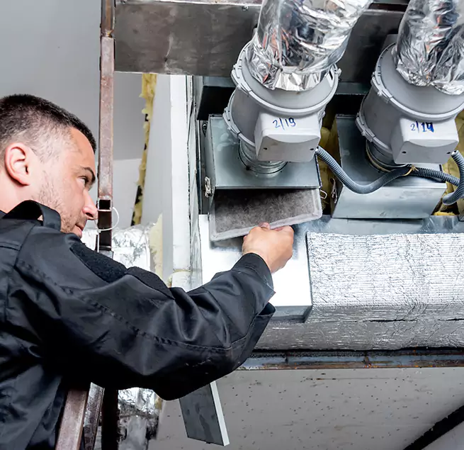 Why Homeowners & Businesses Trust Us in Mount Pleasant, SC?