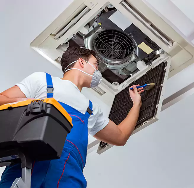 Why Homeowners & Businesses Trust Us in Mount Pleasant, SC