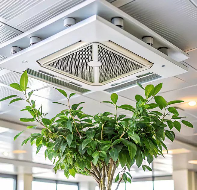 Why Homeowners & Businesses Trust Us in Mount Pleasant, SC