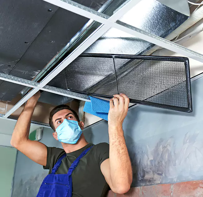 Why Homeowners Businesses Trust Us in Mount Pleasant, SC?