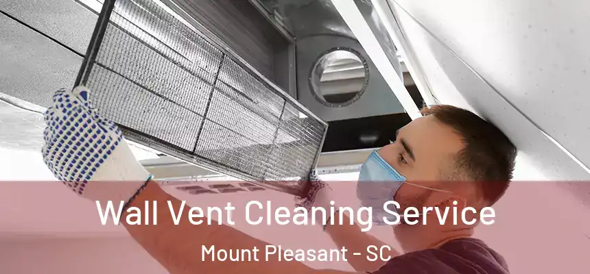  Wall Vent Cleaning Service Mount Pleasant - SC